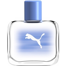 Puma Flowing Man  <em> Eau de toilette (Edt) Spray</em>