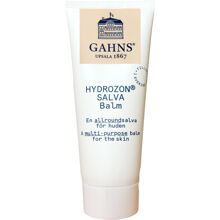 Hydrozonsalva Hudsalva