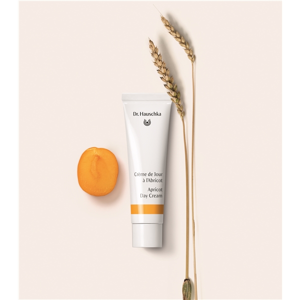 Dr Hauschka Apricot Day Cream (Bild 3 av 3)