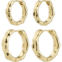 26254-2083 DARBY Earrings 2-In-1 Set