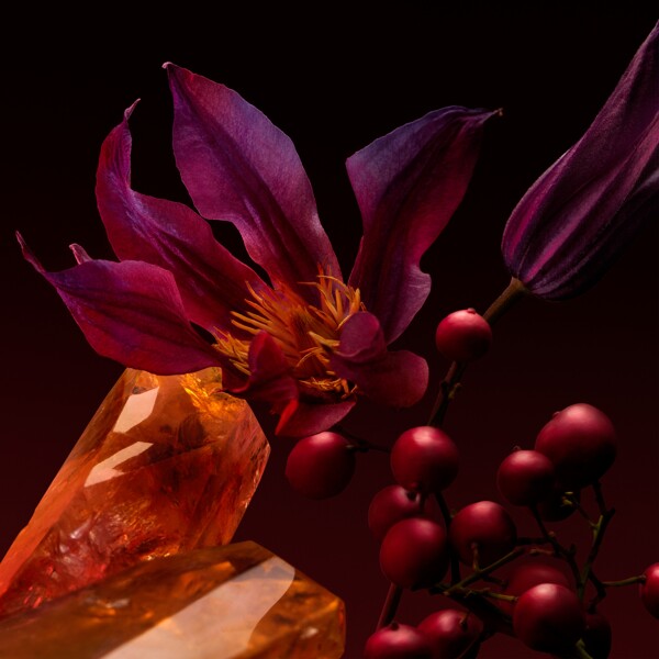 Boss The Scent For Her Elixir - Eau de parfum (Bild 4 av 7)