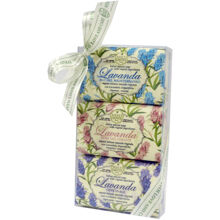 Nesti Dante Lavanda Soap Set