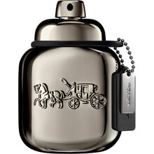 Coach Pure Platinum - Parfum