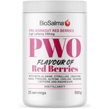 BioSalma PWO Red Berries 500 gram