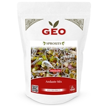 400 gram - Andante Groddfrömix EKO 400g