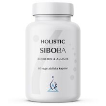 Holistic SIBOBA - berberin och allicin