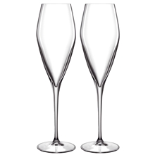 2 st/paket - Atelier champagneglas Prosecco 2-pack