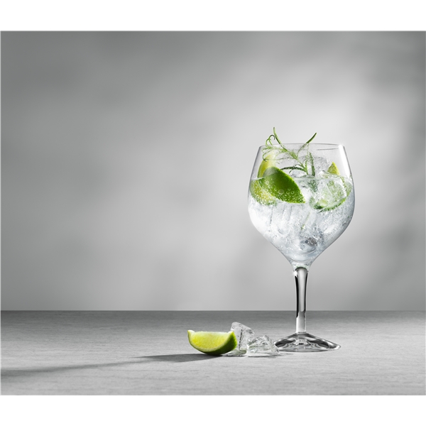 Gin och Tonic 4-pack (Bild 2 av 7)