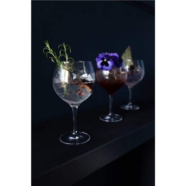 Gin och Tonic 4-pack (Bild 5 av 7)