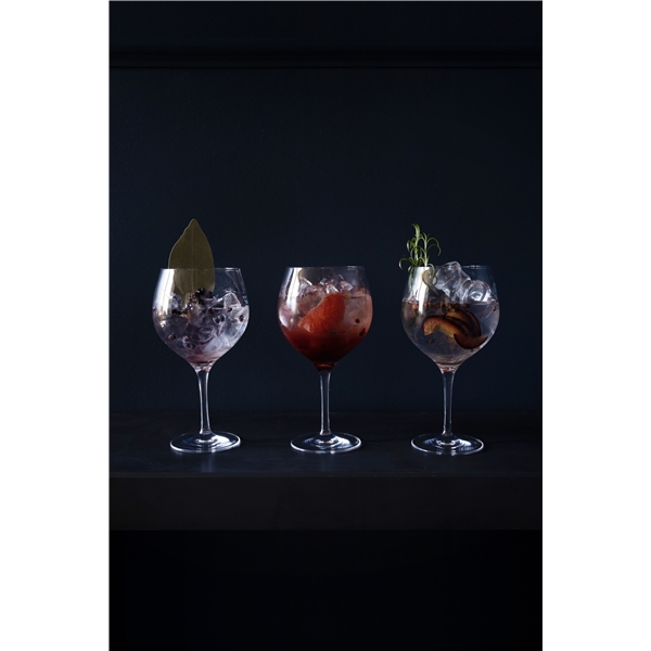 Gin och Tonic 4-pack (Bild 6 av 7)