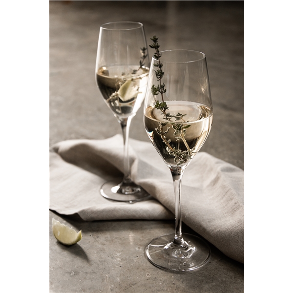 Sense Champagne/Drinkglas 6-pack (Bild 4 av 6)