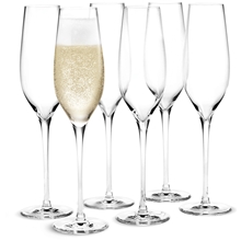 1 set - Holmegaard Cabernet Champagne 29 cl 6-pack