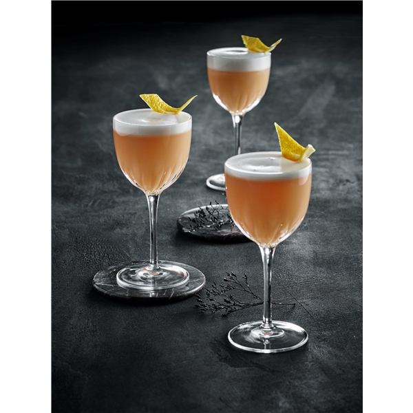 Mixology Cocktailglas Nick & Nora 4-pack (Bild 3 av 3)