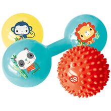 Fisher-Price Sensory Activity Set