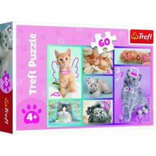 Pussel 60 Bitar Trefl Cute Cats