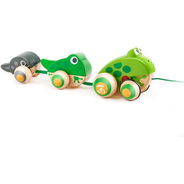 Hape Pull Along Frog Family (Bild 1 av 6)