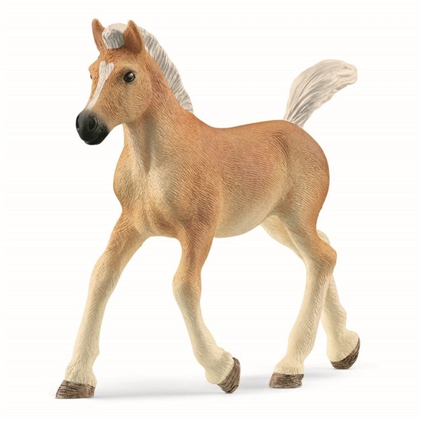 Schleich 13951 Haflinger foal (Bild 1 av 2)