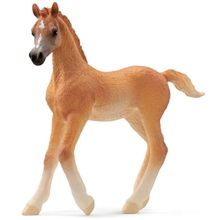 Schleich 13984 Schleich Arab Foal