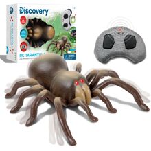 DISCOVERY RC Tarantula
